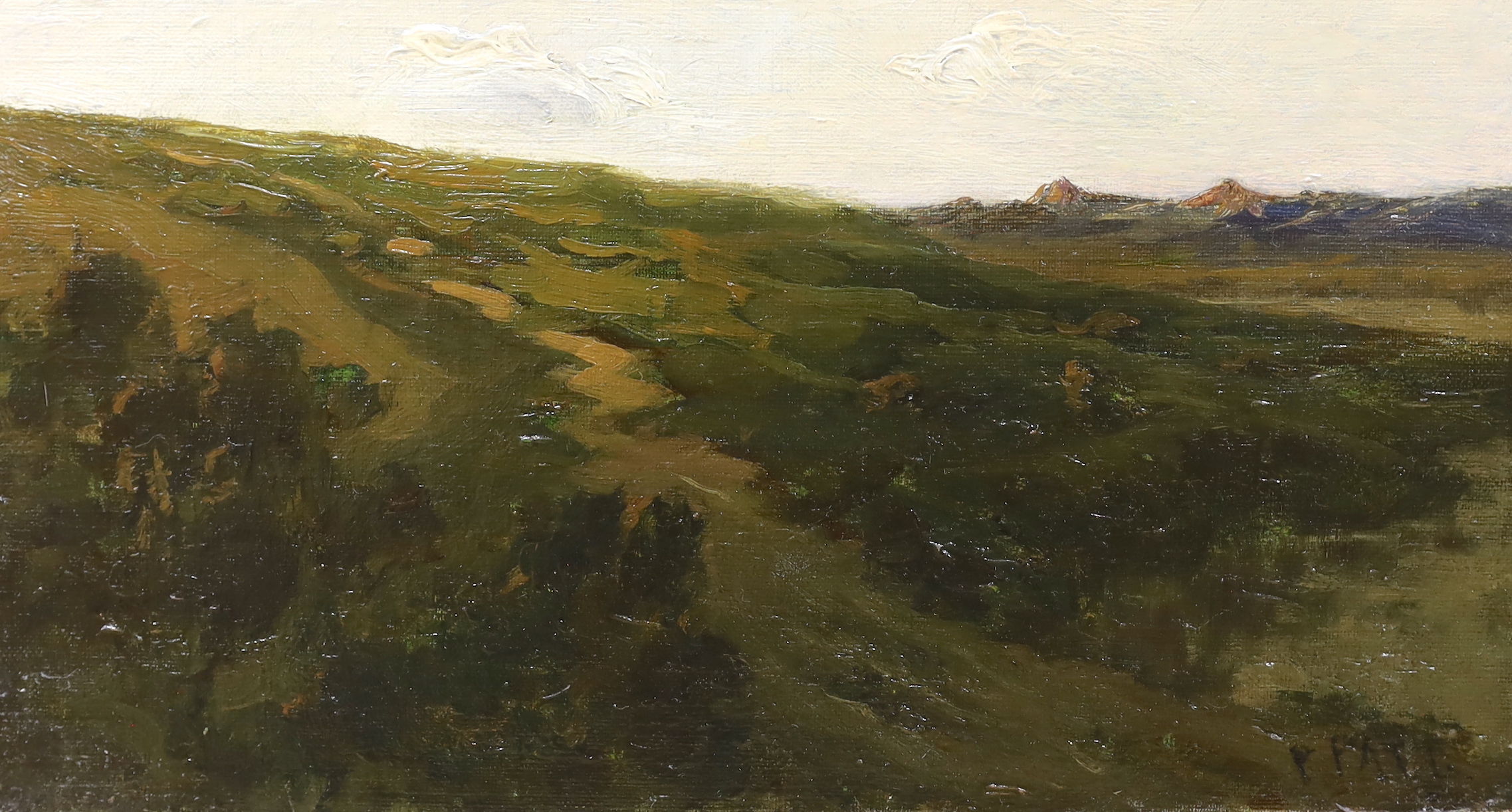 Paul Politachi (Paul Paul, Staithes Group 1865-1937), oil on canvas, Mountain landscape, signed, 18 x 33cm, unframed